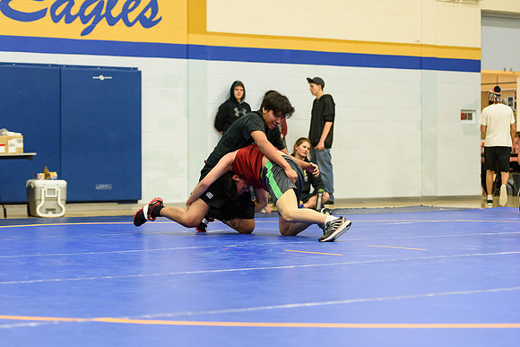 Wrestling DHS 011516-3-3722
