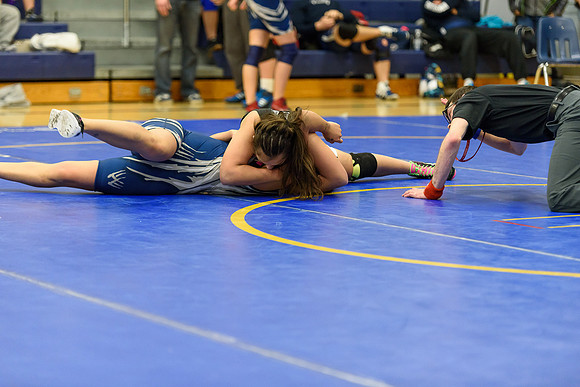 Wrestling DHS 011516-3-2312