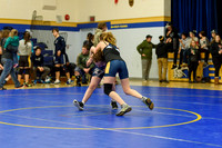 Wrestling DHS 011516-3-2172