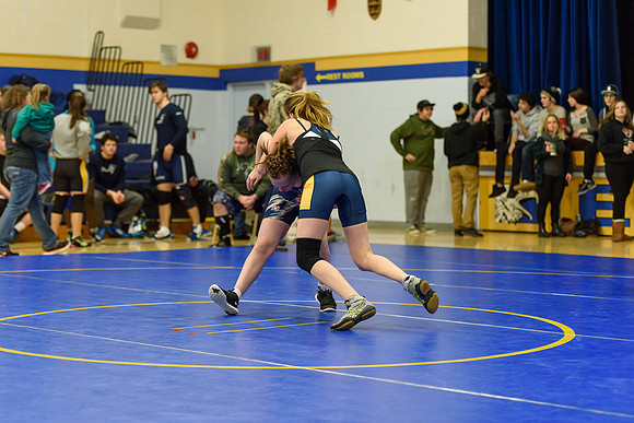 Wrestling DHS 011516-3-2172