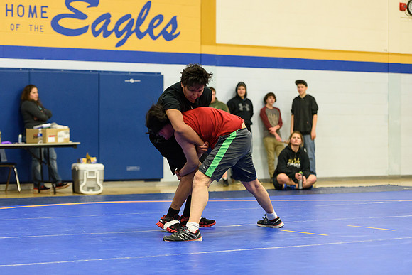 Wrestling DHS 011516-3-3716