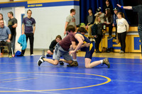 Wrestling DHS 011516-3-2791