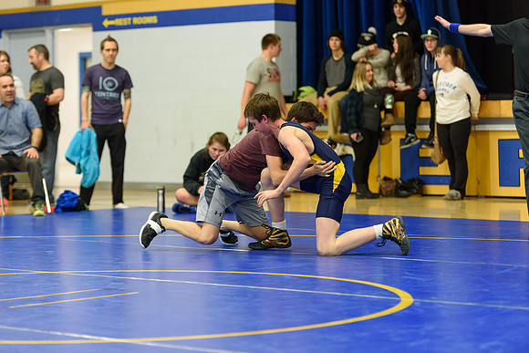Wrestling DHS 011516-3-2791
