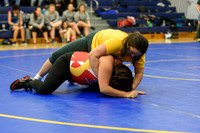 Wrestling DHS 011516-3-2713