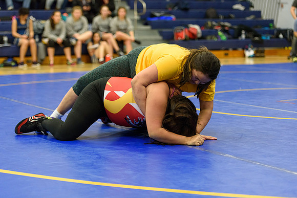 Wrestling DHS 011516-3-2713
