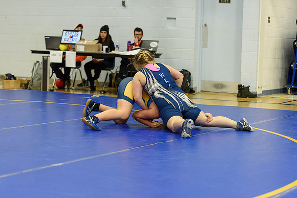 Wrestling DHS 011516-3-5880