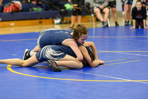 Wrestling DHS 011516-3-3212