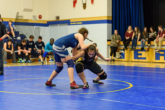 Wrestling DHS 011516-3-3336