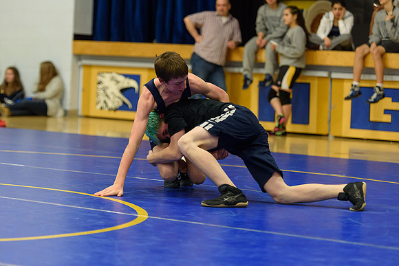 Wrestling DHS 011516-3-5300