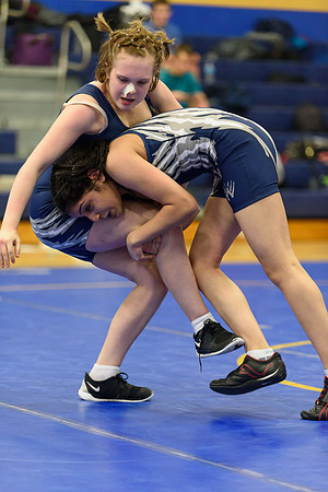Wrestling DHS 011516-3-3183