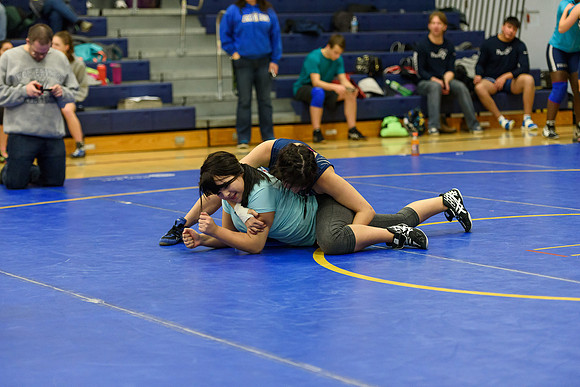 Wrestling DHS 011516-3-4330