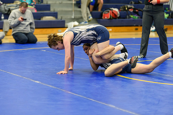 Wrestling DHS 011516-3-3205