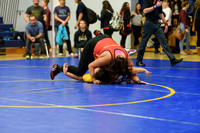 Wrestling DHS 011516-3-2730