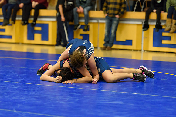 Wrestling DHS 011516-3-4165
