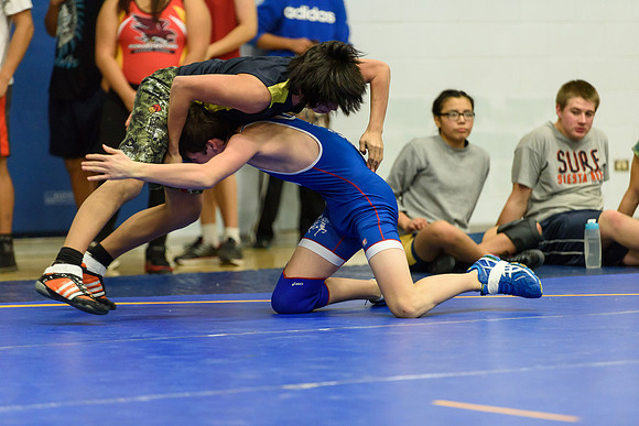 Wrestling DHS 011516-3-4186