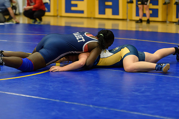 Wrestling DHS 011516-3-5207
