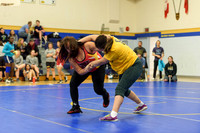 Wrestling DHS 011516-3-2706