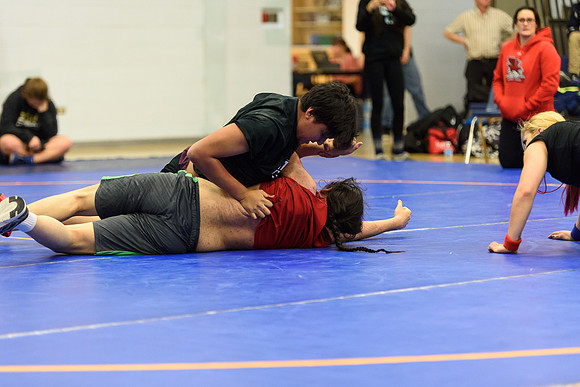 Wrestling DHS 011516-3-3700