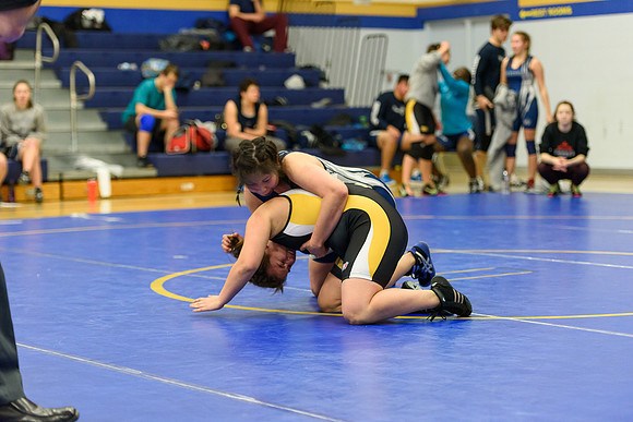 Wrestling DHS 011516-3-3431