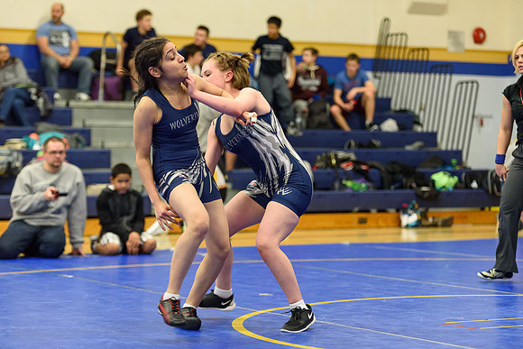 Wrestling DHS 011516-3-3296
