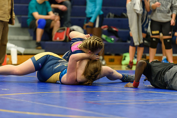 Wrestling DHS 011516-3-3530