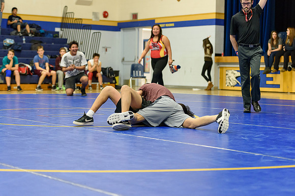 Wrestling DHS 011516-3-3677