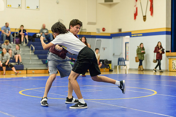 Wrestling DHS 011516-3-3623