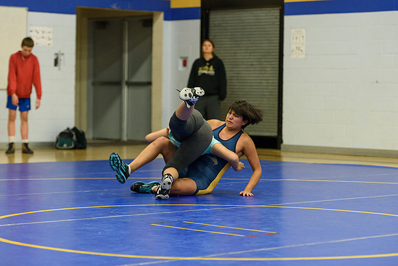 Wrestling DHS 011516-3-5090