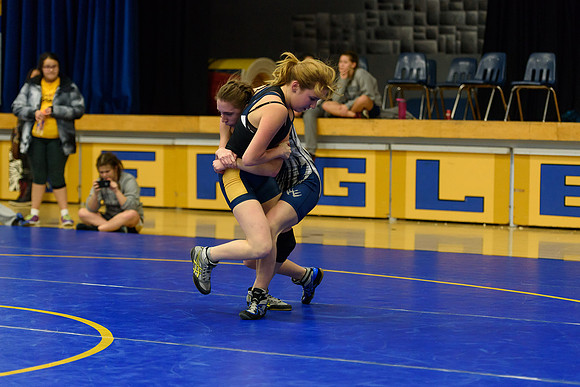 Wrestling DHS 011516-3-4975