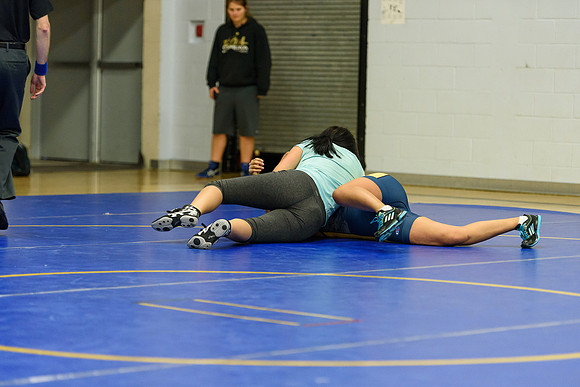 Wrestling DHS 011516-3-5094