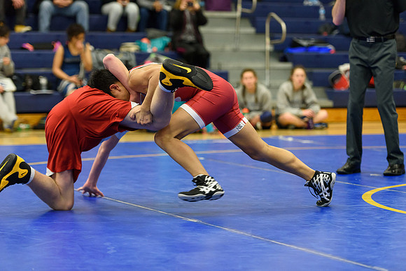Wrestling DHS 011516-3-2613