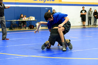 Wrestling DHS 011516-3-2743