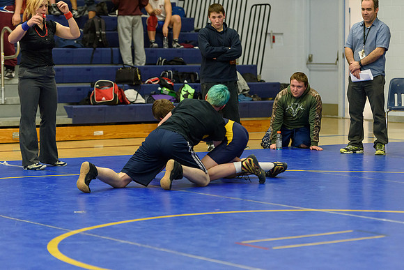 Wrestling DHS 011516-3-5311