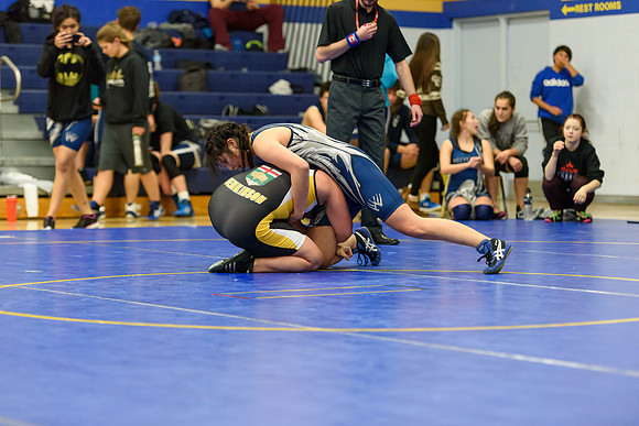 Wrestling DHS 011516-3-3489