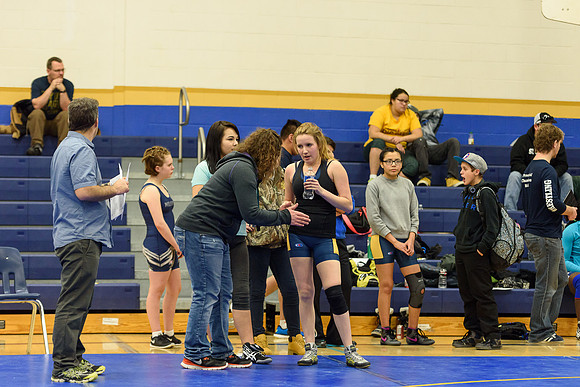 Wrestling DHS 011516-3-4058