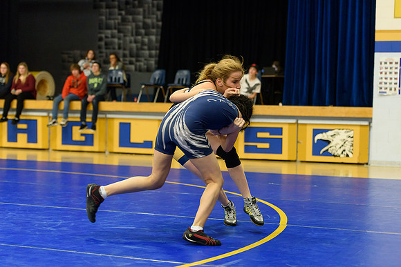 Wrestling DHS 011516-3-3993