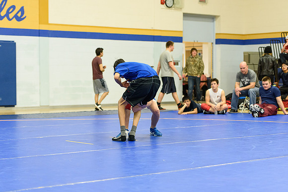 Wrestling DHS 011516-3-3365