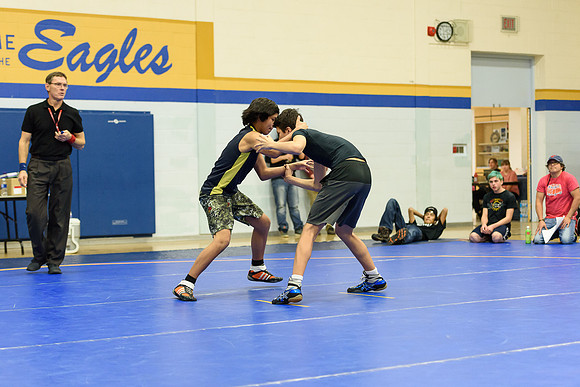 Wrestling DHS 011516-3-3390