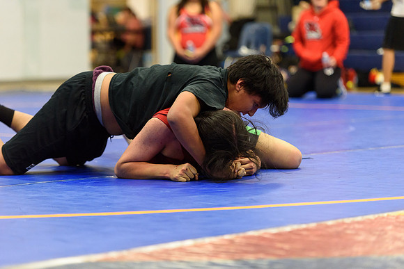 Wrestling DHS 011516-3-3791