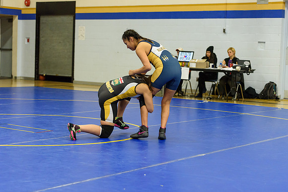 Wrestling DHS 011516-3-5722