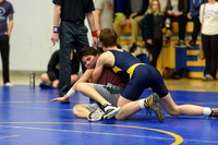 Wrestling DHS 011516-3-2802