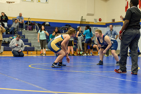 Wrestling DHS 011516-3-3505