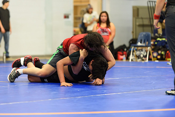 Wrestling DHS 011516-3-3772