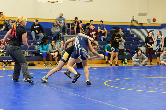 Wrestling DHS 011516-3-3986