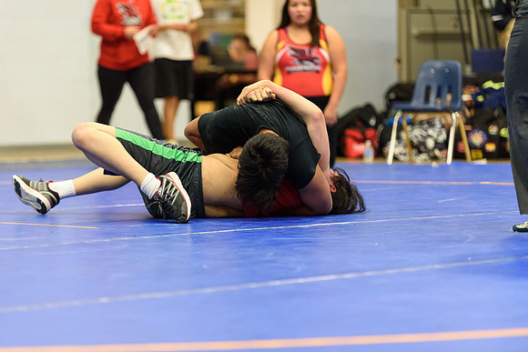 Wrestling DHS 011516-3-3730