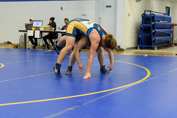 Wrestling DHS 011516-3-5843