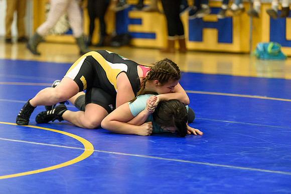 Wrestling DHS 011516-3-2391