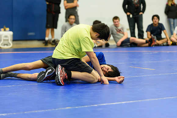 Wrestling DHS 011516-3-4102