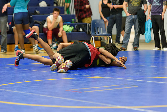 Wrestling DHS 011516-3-2912