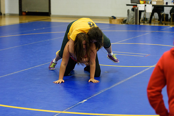 Wrestling DHS 011516-3-5957